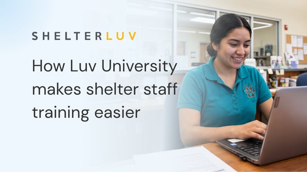 How Luv University Makes Shelter Staff Training Easier