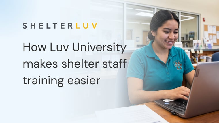How Luv University Makes Shelter Staff Training Easier
