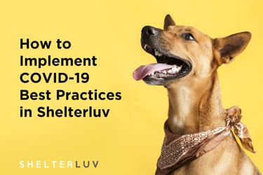 How to Implement COVID-19 Best Practices in Shelterluv
