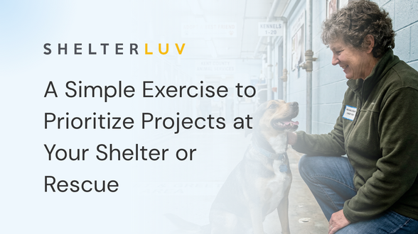 A Simple Exercise to Prioritize Projects at Your Shelter or Rescue