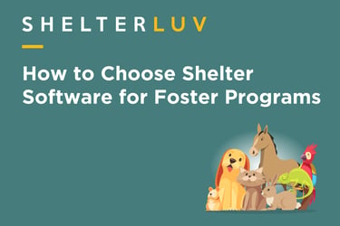 How to Choose Shelter Software for Foster Programs