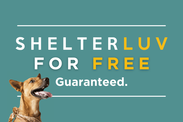 Get Shelterluv for free in 2021