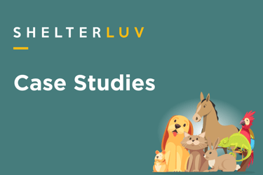 Case Study: Little Wanderers NYC
