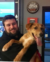 Shelterluv Stories: Daniel Schekorra, C.A.R.E. Animal Rescue