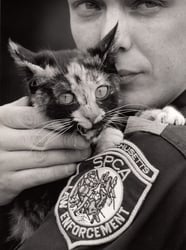 Scott Giacoppo’s Top Three Tips to Improve Your Animal Control Service
