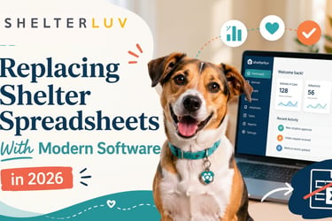 The Complete Guide to Replacing Shelter Spreadsheets in 2026