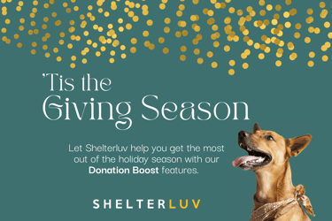 Giving Season Checklist: Shelterluv Best Practices