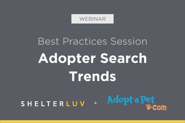 Adopter Search Trends