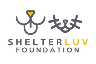 Shelterluv Announces Creation of the Shelterluv Foundation