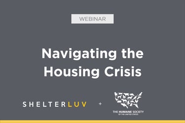 Webinar Nov ’20: Navigating the Housing Crisis