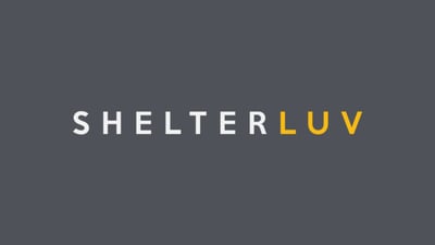 The Shelterluv Blog’s 2019 in Review