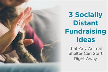 3 Animal Shelter Fundraising Ideas