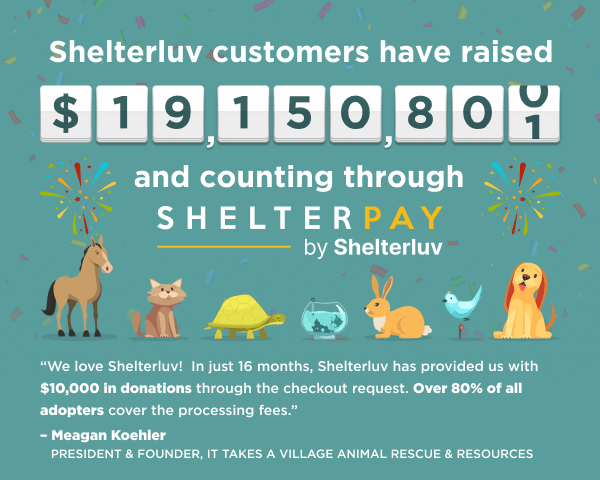 Graphic reading Shelterluv customers have raised $19,150,801 and counting through Shelterpay, with a quote from Meagan Koehler, President and Founder of It Takes a Village Animal Rescue and Resources: in just 16 months Shelterluv provided them with $10,000 in donations through the checkout request, and over 80% of all adopters cover the processing fees