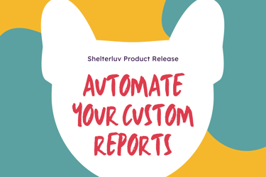 New Feature: Automate your custom reports!