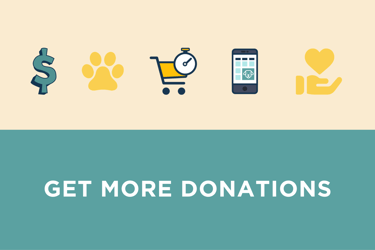 New Features = Instant Donations