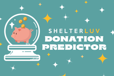 Improve your fundraising knowledge with one click